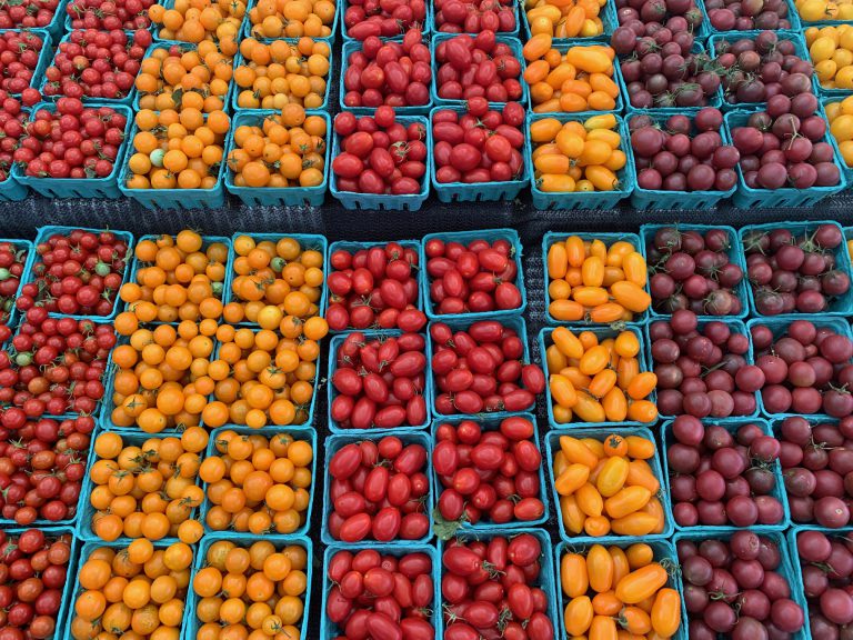 Tomatoes: Helping Kids Explore New Tastes + A Recipe for Roasted Garlic Tomatoes