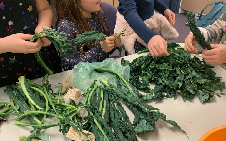 Kale Chips!
